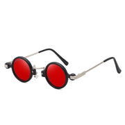 West Louis™ Vintage Round Luxury Steampunk Sunglasses