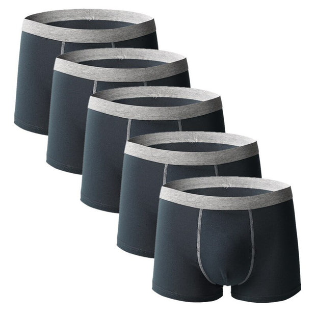 West Louis™ Comfy Breathable Cotton Men Underwear 5Pcs