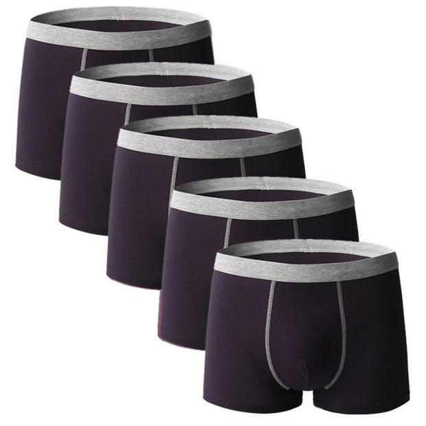 West Louis™ Comfy Breathable Cotton Men Underwear 5Pcs