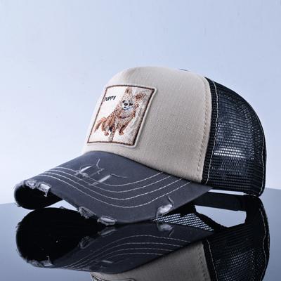 West Louis™  Hip Hop Animal Caps Puppy - West Louis